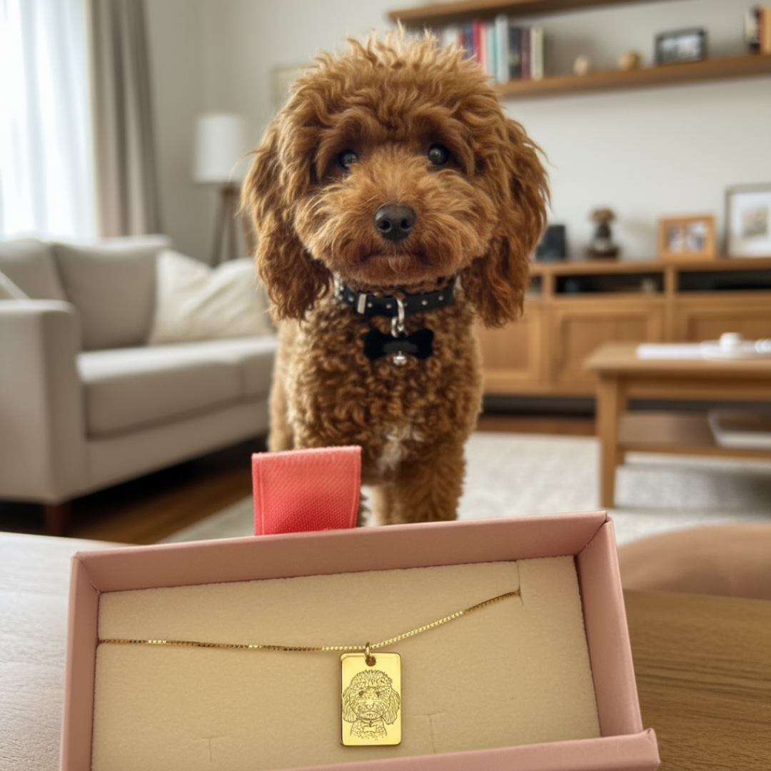 Collana Amico a quattro zampe