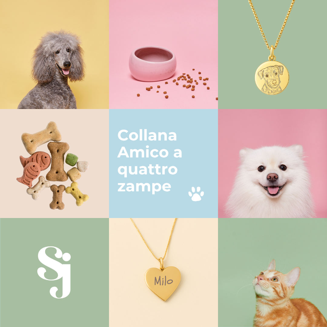 Collana Amico a quattro zampe