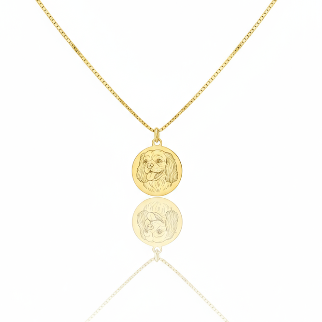 Collana Amico a quattro zampe