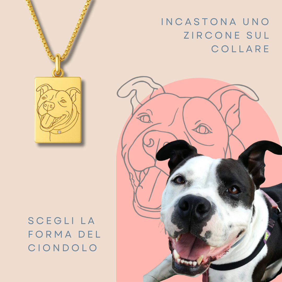 Collana Amico a quattro zampe