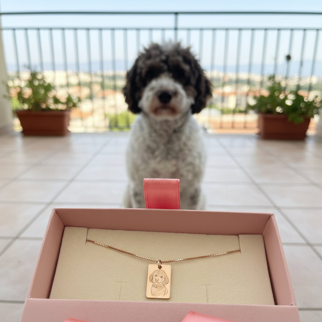 Collana Amico a quattro zampe