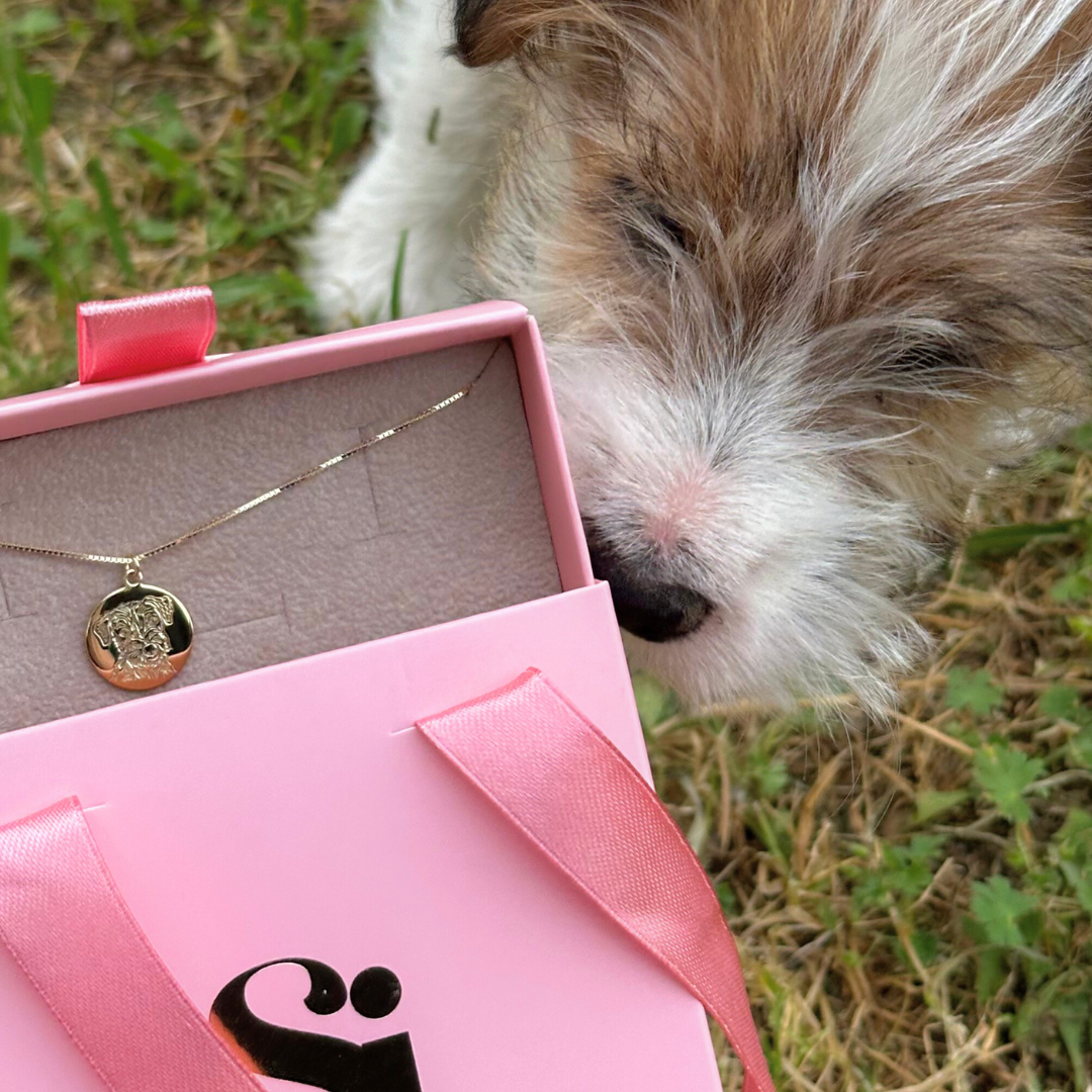 Collana Amico a quattro zampe