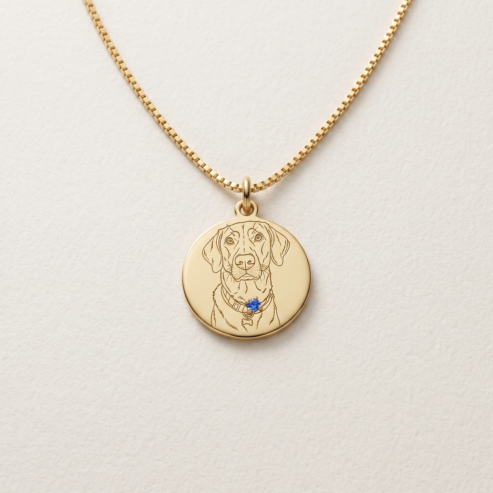 Collana Amico a quattro zampe